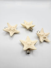 Load image into Gallery viewer, Estrella de Mar - Hair Clip
