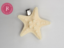 Load image into Gallery viewer, Estrella de Mar - Hair Clip
